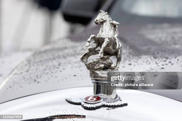 Auto Radiator Mascots 69 Radiator Mascot Stock Photos, High-Res Pictures, and Images - Getty ...