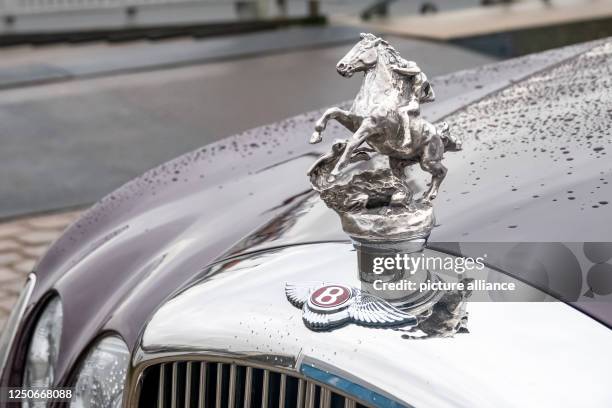 Auto Radiator Mascots 69 Radiator Mascot Stock Photos, High-Res Pictures, and Images - Getty ...