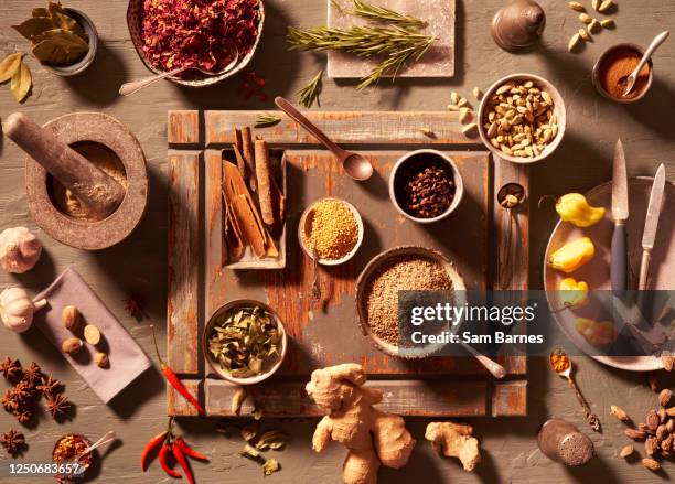 spice selection - indian food - fotografias e filmes do acervo
