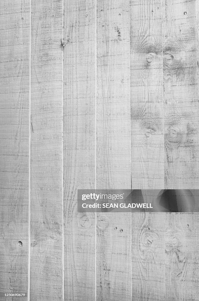 Whitewashed fence