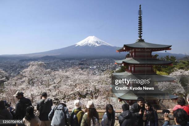 Photo taken on April 3 shows a popular scenic spot where Mt. Fuji, a red five-story pagoda and cherry blossoms in full bloom can be seen all together...