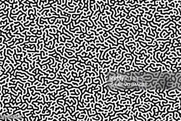 seamless turing pattern illustration. organic looking patterns. black and white - coral colored photos et images de collection