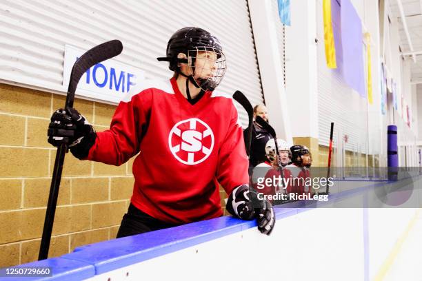 woman ice hockey team on the bench - hockey fans stock pictures, royalty-free photos & images
