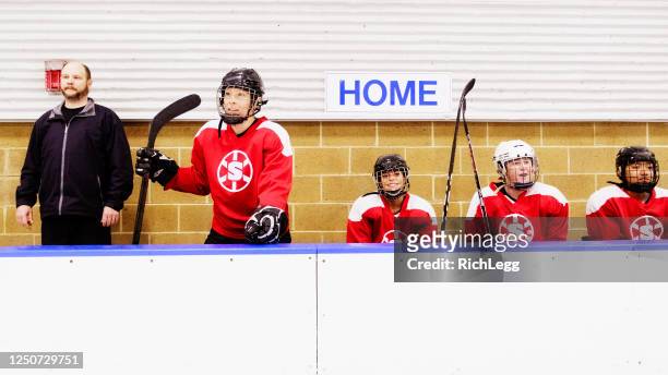 woman ice hockey team on the bench - ice hockey coach stock pictures, royalty-free photos & images