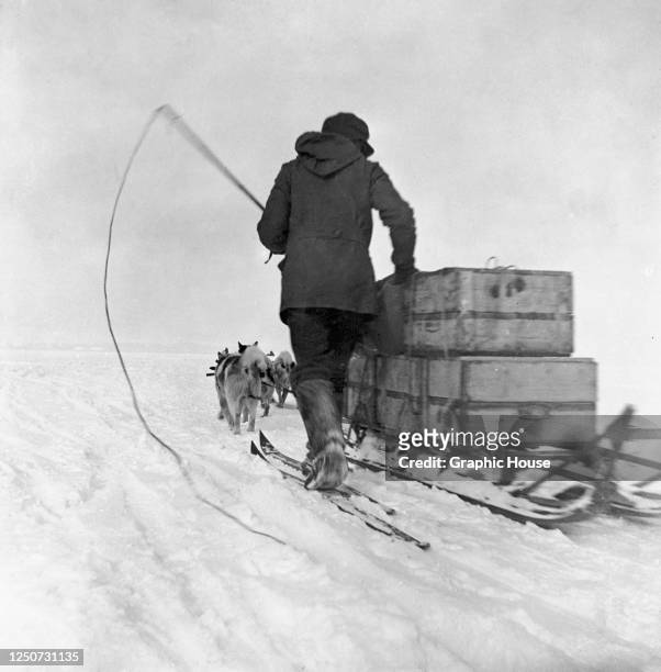 Member of Norwegian explorer Roald Amundsen's team with a sled and sled dogs during his expedition to the South Pole, 1911.