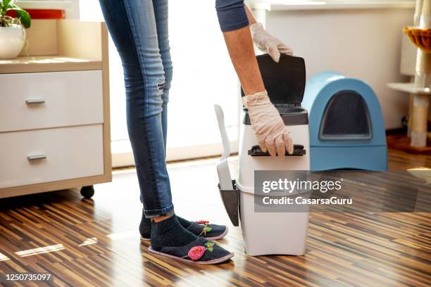 unrecognizable adult woman preparing cat litter disposal system for cleaning - stock photo - a container for urine stock pictures, royalty-free photos & images