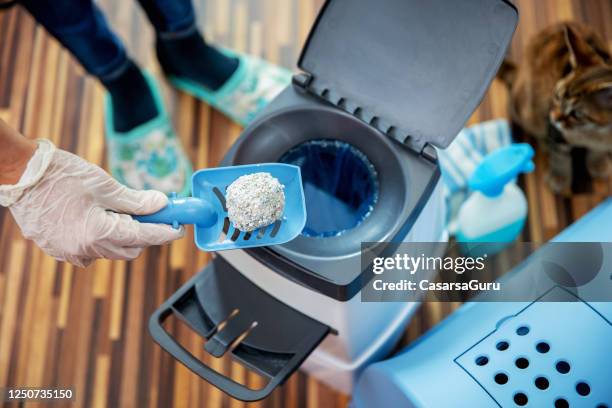 Filthy Cat Box 55 Dirty Litter Box Stock Photos, High-Res Pictures, and Images - Getty ...