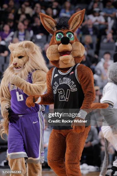 San Antonio Spurs mascot The Coyote looks on during the game between the Utah Jazz and Sacramento Kings on March 25, 2023 at Golden 1 Center in...