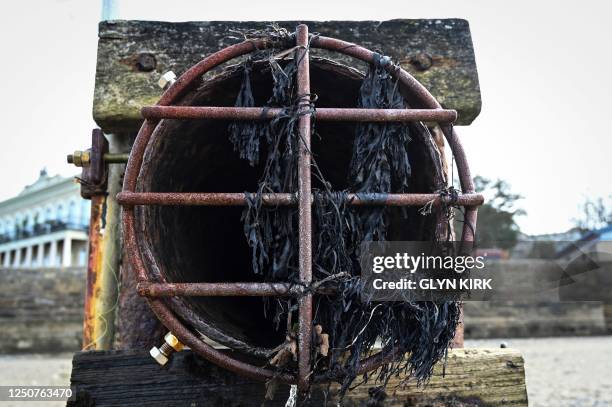 Photograph taken on March 30, 2023 shows a CSO pipe on Ryde beach on the Isle of Wight which has suffered from sewage pollution in recent years...