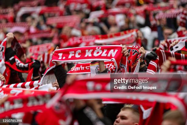 Fans of 1. FC Koeln during the Bundesliga match between 1. FC Köln and Borussia Mönchengladbach at RheinEnergieStadion on April 2, 2023 in Cologne,...