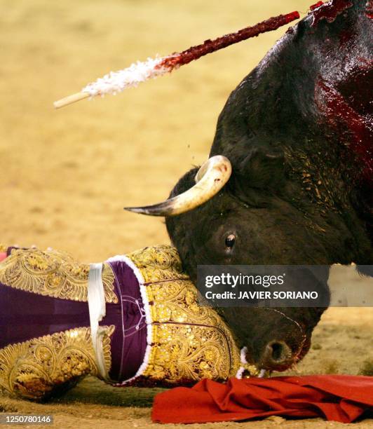 French 'matador' Sebastian Castella is hooked by his second bull, 11 October 2004, during a 'corrida' at Las Ventas Bullring in Madrid. AFP PHOTO/...