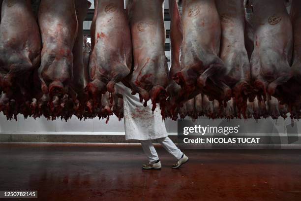 Worker moves carcasses of slaughtered lambs in a refrigerated room at a slaughterhouse in Sisteron, southern France on April 3 ahead of the Easter...