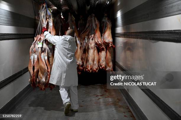 Worker moves carcasses of slaughtered lambs in a refrigerated truck at a slaughterhouse in Sisteron, southern France on April 3 ahead of the Easter...