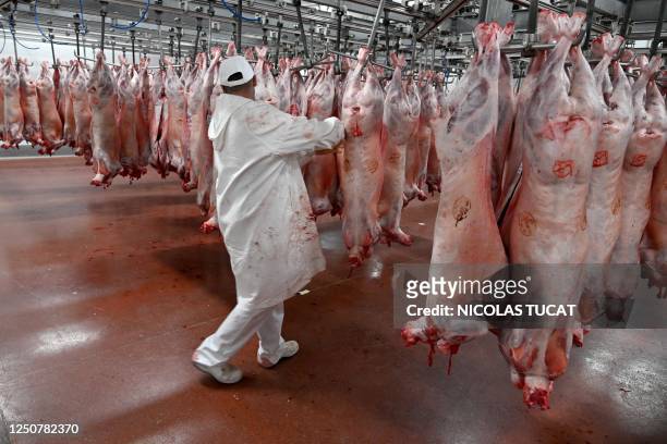 Worker moves carcasses of slaughtered lambs in a refrigerated room at a slaughterhouse in Sisteron, southern France on April 3 ahead of the Easter...