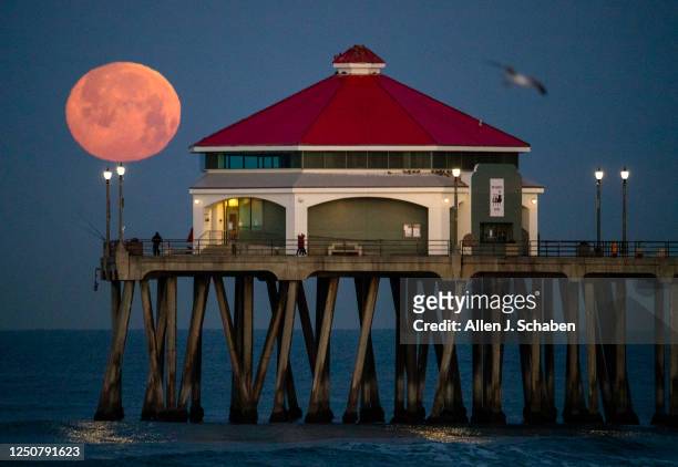 Huntington Beach, CA Fisherman and pier walkers have a scenic view of the setting full Pink Moon, named after blooming wildflowers, at dawn at the...