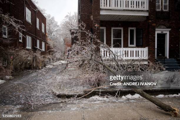 Tree branches are seen in Monkland Village after freezing rain hit parts of Quebec and Ontario in Montreal, Canada, on April 5, 2023. - Hydro Quebec...