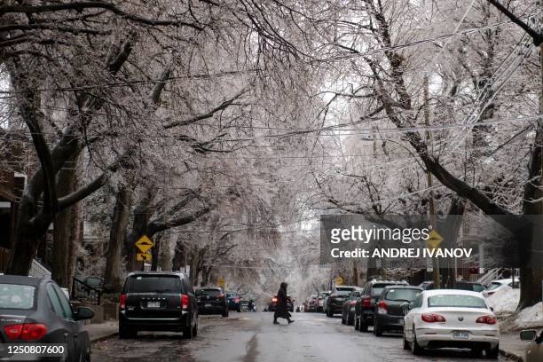 Person crosses the street as iced over tree branches are seen after freezing rain hit parts of Quebec and Ontario in Montreal, Canada, on April 5,...
