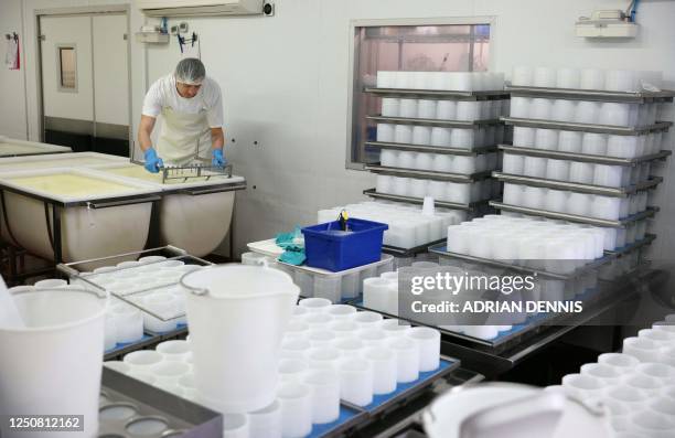 Cheesemaker cuts the curds and whey, the beginning process to making Tunworth cheese, in the production room at the Hampshire Cheese Company near...