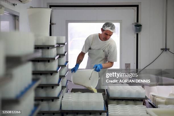 Cheesemaker pours curds into moulds to make Tunworth cheese in the production room at the Hampshire Cheese Company near Basingstoke in Hampshire...