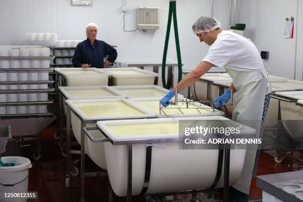 Stacey Hedges, Owner and Founder of Hampshire Cheese Company looks on as a cheesemaker cuts the curds and whey, the beginning process to making...