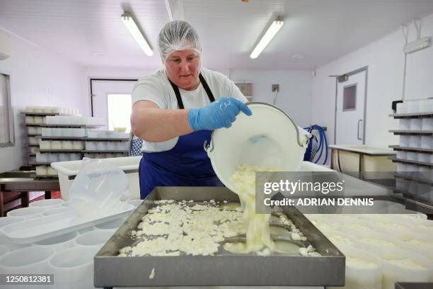 Production Manager and cheesemaker Charlotte Spruce pours curds into moulds to make Tunworth cheese in the production room at the Hampshire Cheese...