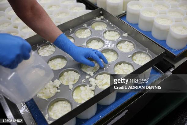 Cheesemaker pours curds into moulds to make Tunworth cheese in the production room at the Hampshire Cheese Company near Basingstoke in Hampshire...