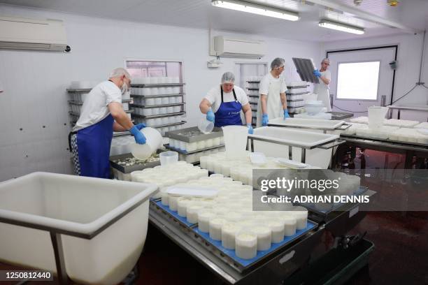 Production Manager and cheesemaker Charlotte Spruce pours curds into moulds to make Tunworth cheese in the production room at the Hampshire Cheese...