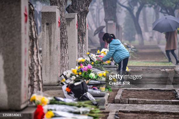 This photo taken on April 5, 2023 shows a student placing flowers on a tomb as she pays respect during the annual Qingming Festival, or Tomb Sweeping...