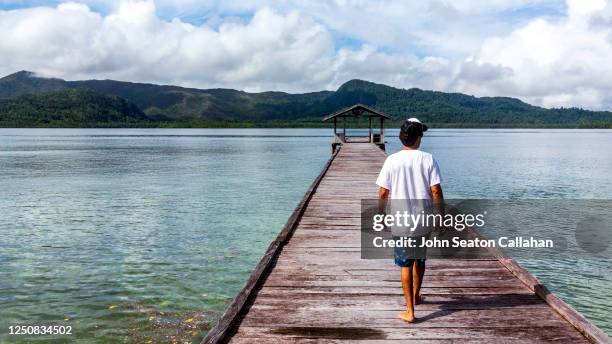 indonesia, walking on a pier - raja ampat islands 個照片及圖片檔