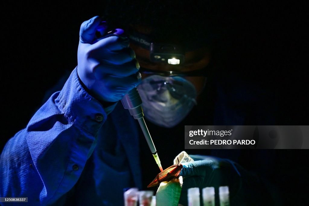 MEXICO-ENVIRONMENT-HEALTH-PANDEMIC-RESEARCH-ZOONOSES
