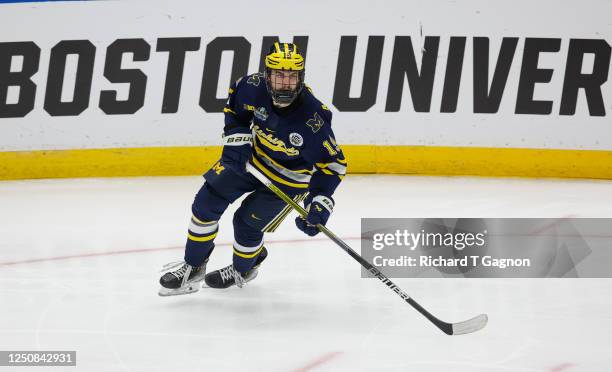 Adam Fantilli of the Michigan Wolverines skates against the Quinnipiac Bobcats during game two of the 2023 NCAA Division I Men's Hockey Frozen Four...
