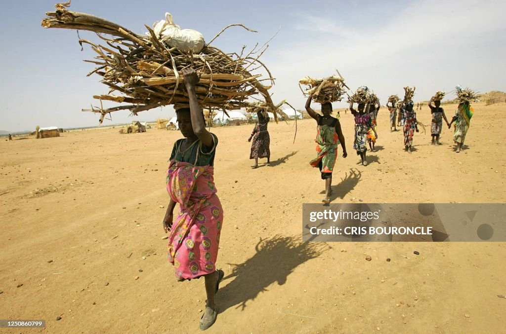 SUDAN-DARFUR-DISPLACED-FIREWOOD