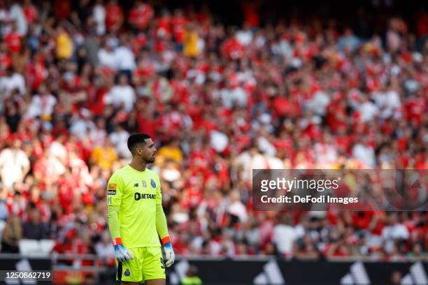 Diogo Costa of FC Porto looks on during the Liga Portugal Bwin match between SL Benfica and FC Porto at Estadio do Sport Lisboa e Benfica on April 7,...