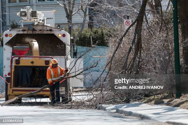 Workers throw pieces of fallen branches into a wood chipper on April 07 in Montreal, Canada after freezing rain hit parts of Quebec and Ontario on...