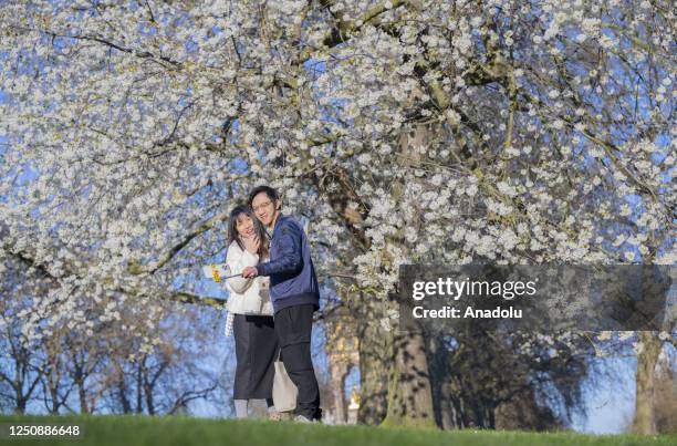 Couple takes a photo in front of the blossoming trees with the arrival of spring in London, United Kingdom on April 07, 2023.