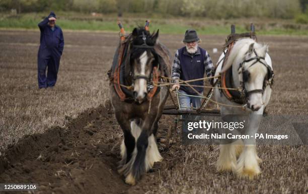Godfrey Worrell from Monasterevin taking part in the Ballylynan district 30th anniversary ploughing match at Ballylynan village in Co Laois. Picture...