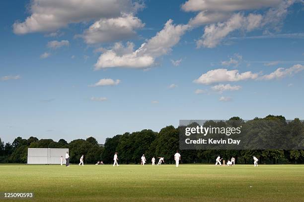 girls playing cricket - england cricket team ストックフォトと画像