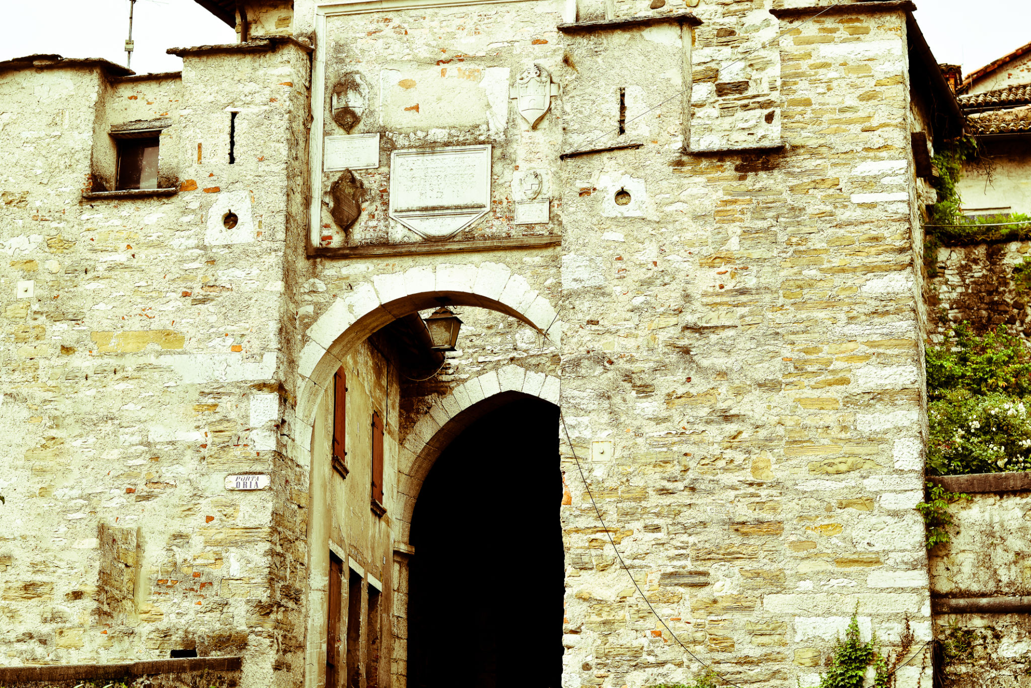 treviso festival