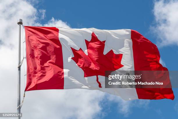 canada flag waving on a blue sky - bandeira do canadá imagens e fotografias de stock
