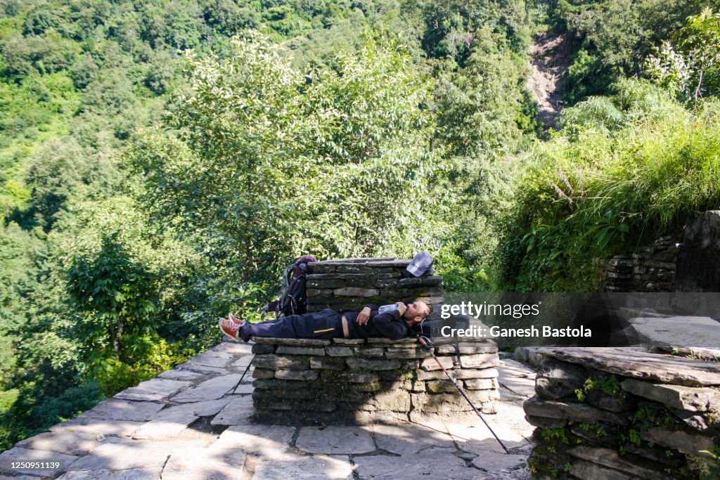 Chautari Tree Resting On The Chautari High-Res Stock Photo - Getty Images