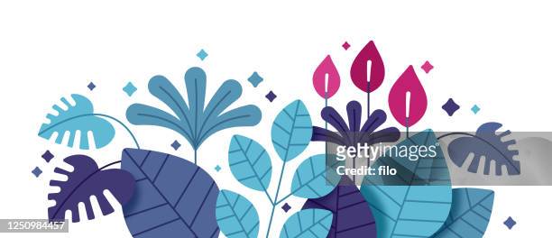 ilustraciones, imágenes clip art, dibujos animados e iconos de stock de hojas y plantas tropicales - exotismo