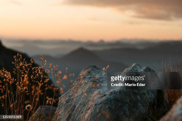 morning mood in the mountains - focus on foreground stock pictures, royalty-free photos & images