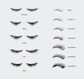 False eyelashes types and kinds poster of vector illustrations isolated.
