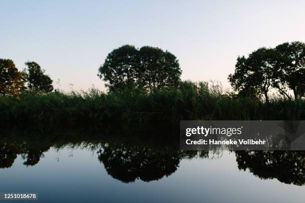 reflectie van bomen in het water tijdens zonsondergang - zonsondergang 個照片及圖片檔