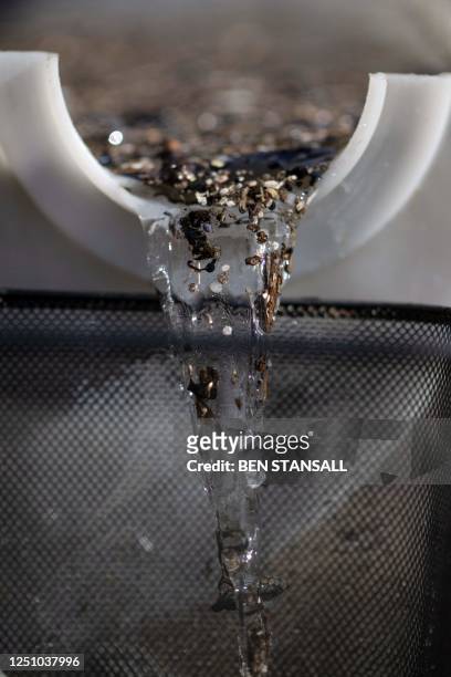 Photograph taken on February 26, 2023 shows nurdles filtered in a machine collecting microplastics waste during a beach clean organised on the...