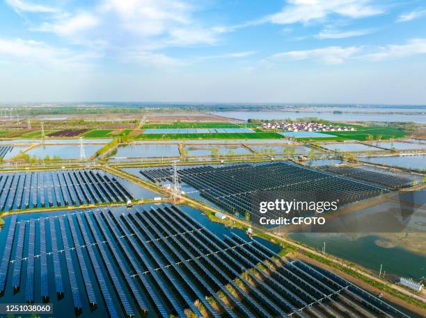 The Fish Pv Photos and Premium High Res Pictures - Getty Images