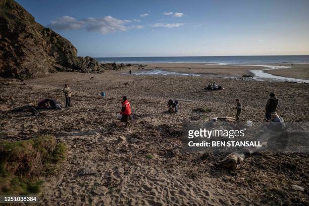 Volunteers take part in a beach clean organised to collect nurdles and other plastic waste on the Tregantle beach part of the Whitesand Bay, near...