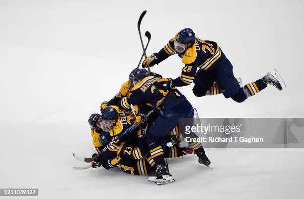 Collin Graf of the Quinnipiac Bobcats celebrates his goal with his teammates with 2:47 remaining in regulation to tie the game at 2 against the...