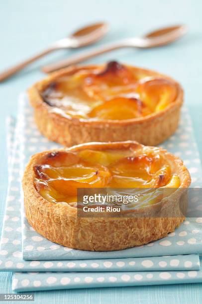 little apricot tart - abricots stock pictures, royalty-free photos & images