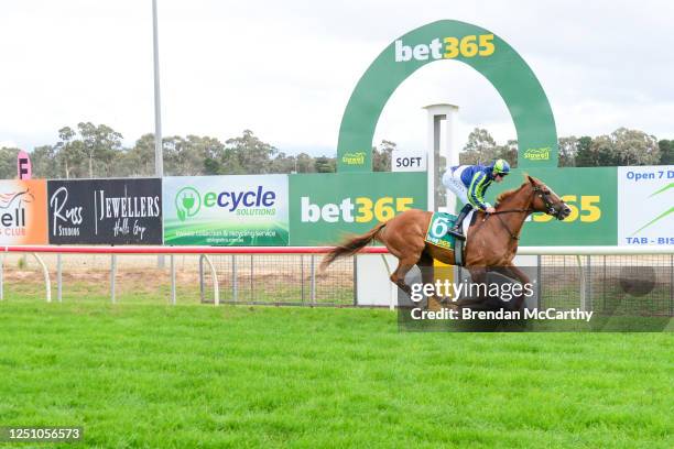 Festivus ridden by Declan Bates wins the Grampians Racing BM64 Handicap at Stawell Racecourse on April 09, 2023 in Stawell, Australia.